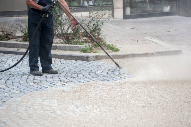 Best Sidewalk and Walkway Cleaning  in Estero, FL